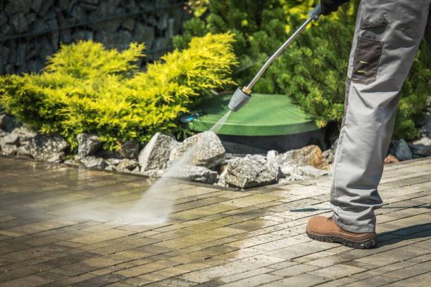Best Spring Cleaning  in Willmar, MN