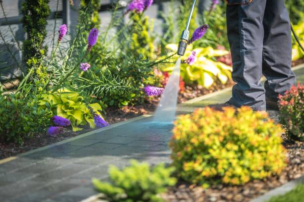 Best Parking Lot and Garage Cleaning  in Willmar, MN