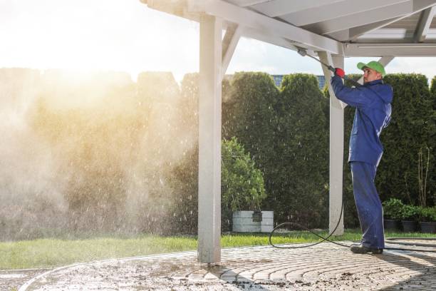 Best Driveway Pressure Washing  in Willmar, MN